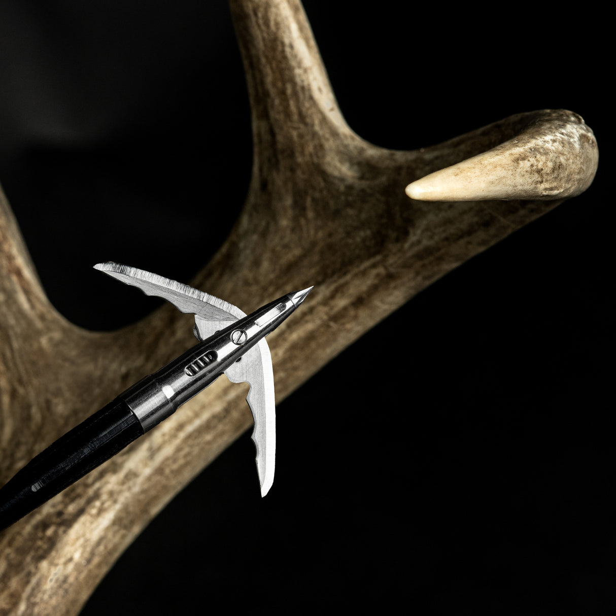 Titanium Broadheads