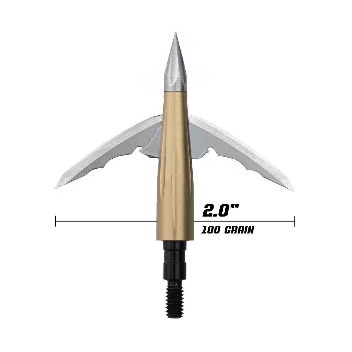Beast Broadheads - 2 Pack + Practice Tip