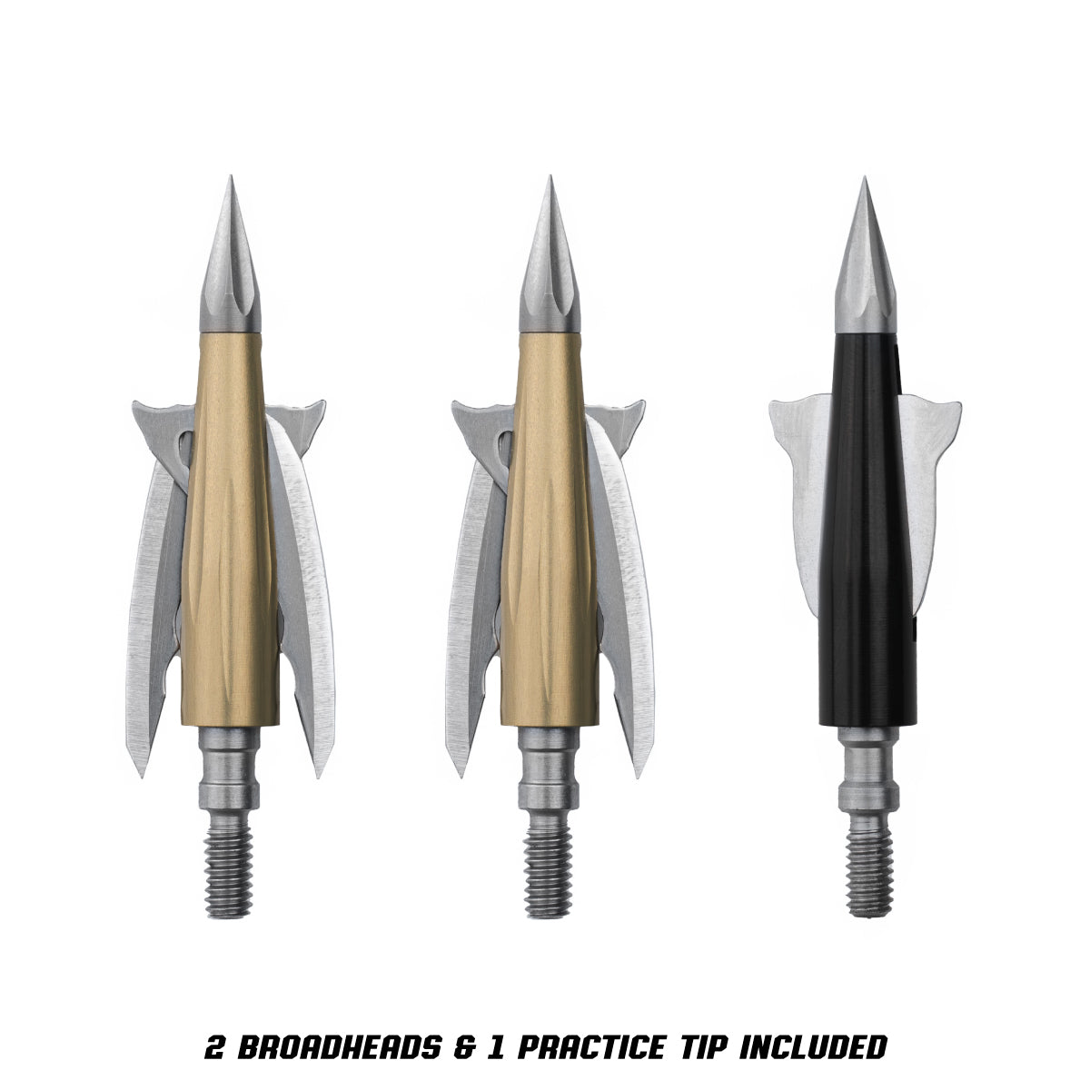 Beast Broadheads - 2 Pack + Practice Tip