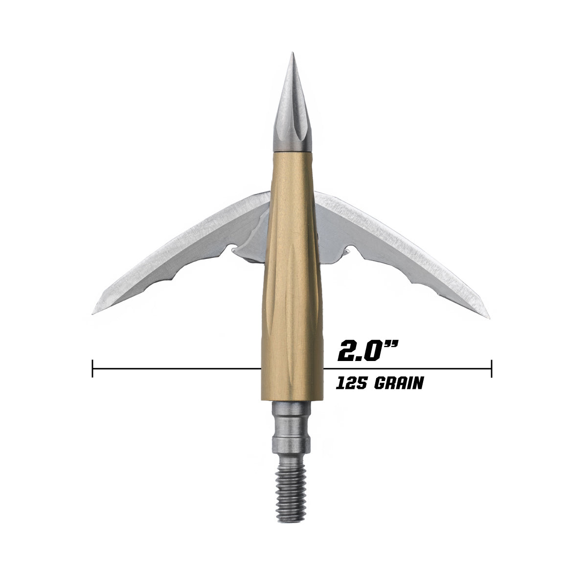 Beast Broadheads - 2 Pack + Practice Tip