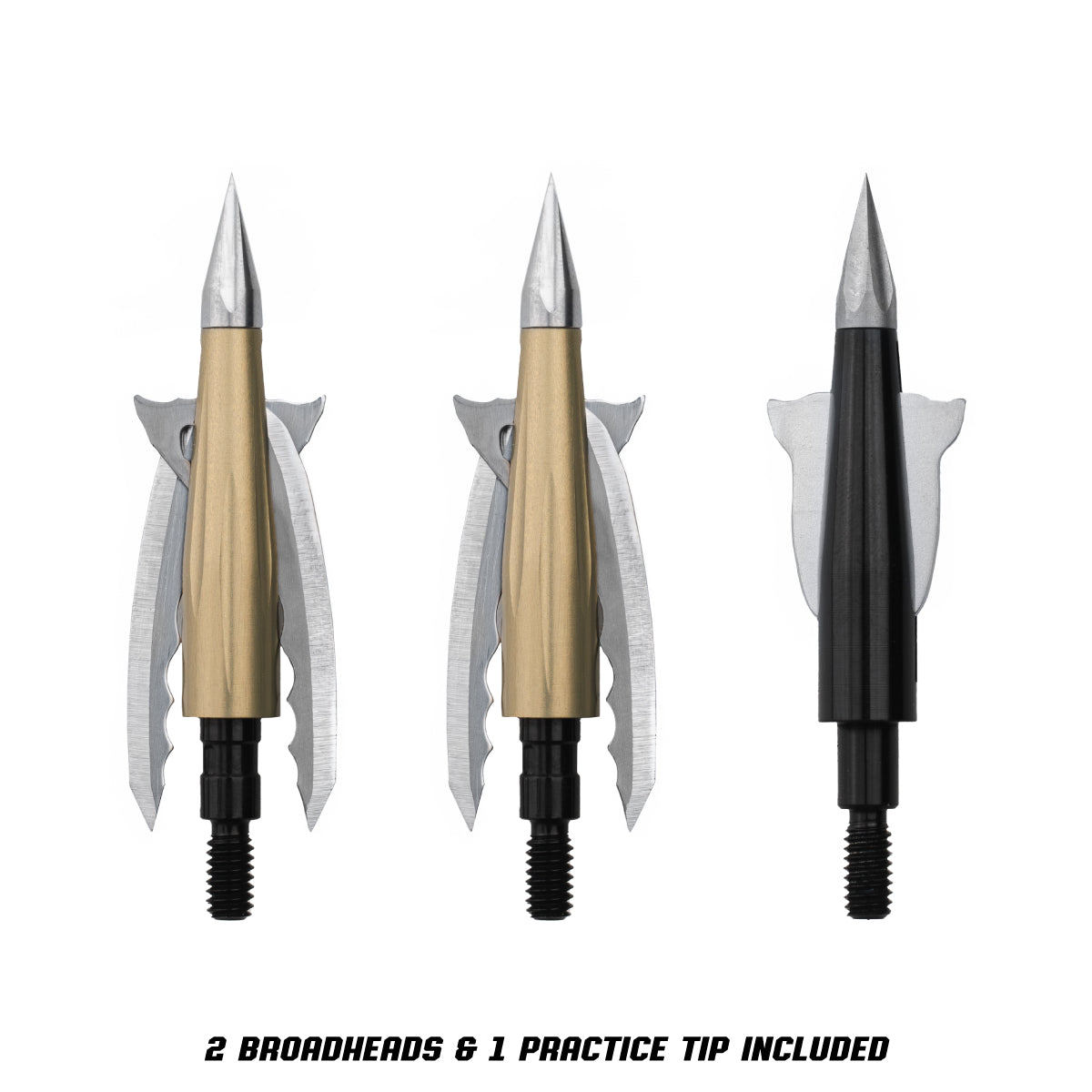 Beast Broadheads - 2 Pack + Practice Tip