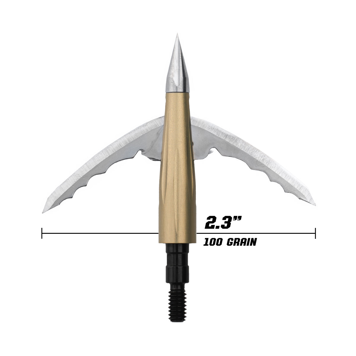 Beast Broadheads - 2 Pack + Practice Tip