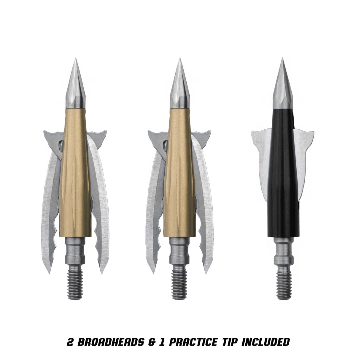 Beast Broadheads - 2 Pack + Practice Tip