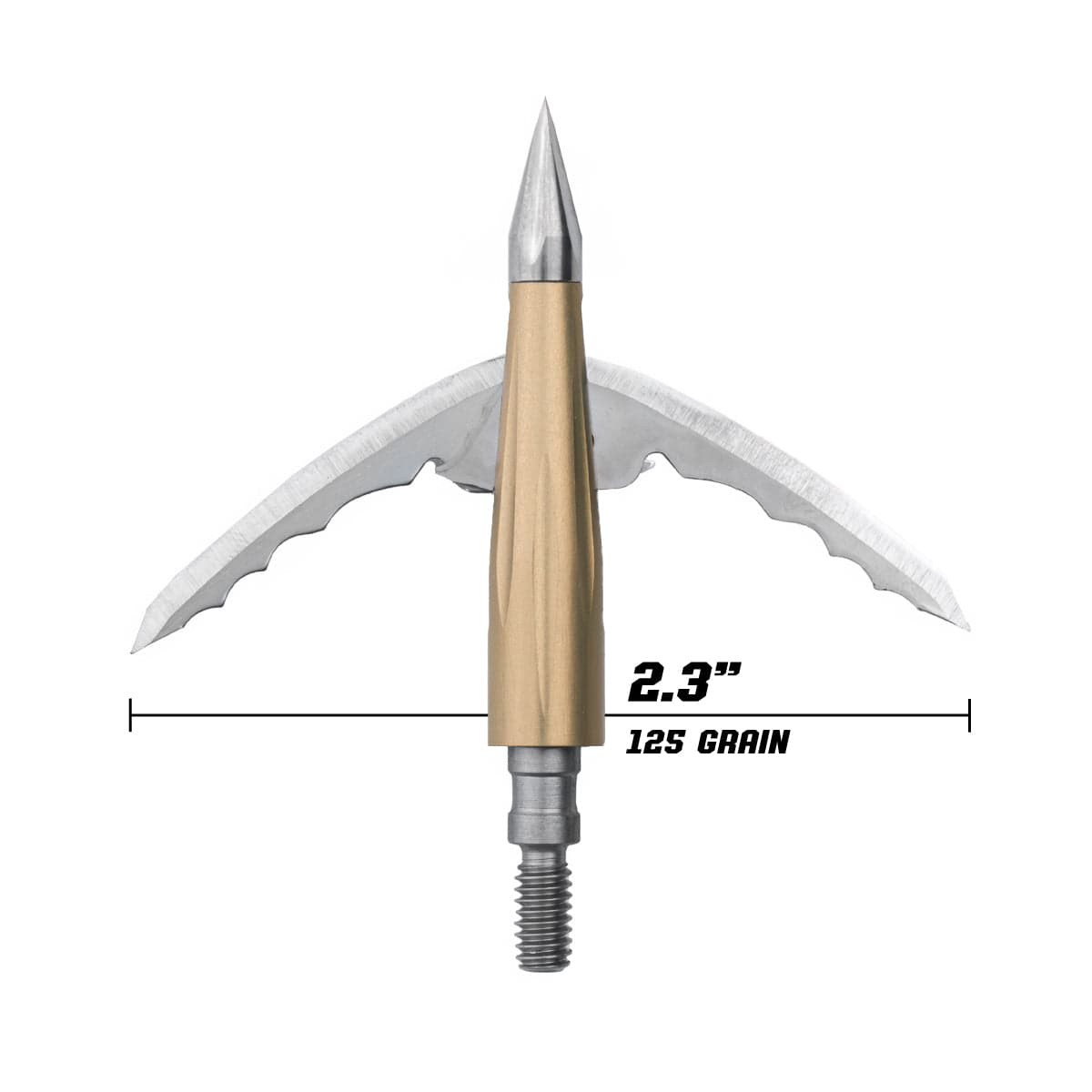 Beast Broadheads - 2 Pack + Practice Tip