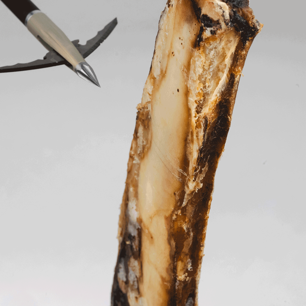 Beast Broadheads - 2 Pack + Practice Tip